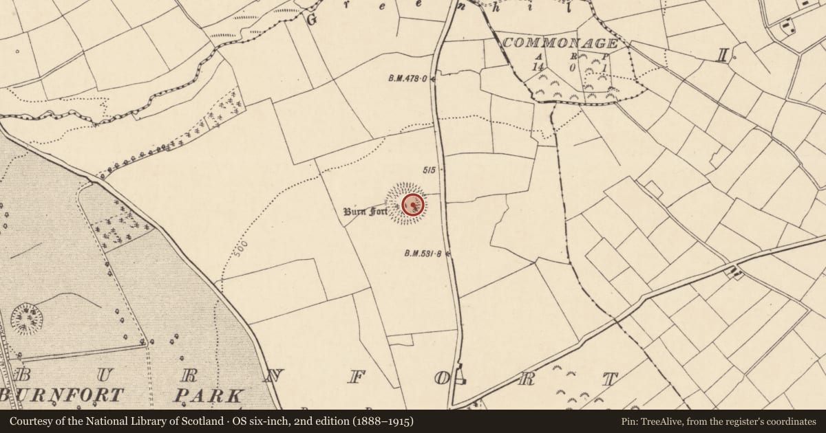 Ordnance Survey six-inch map, 2nd edition (1888–1915) covering the location of Souterrain, Burnfort, County Cork, with a pin at the register's coordinates