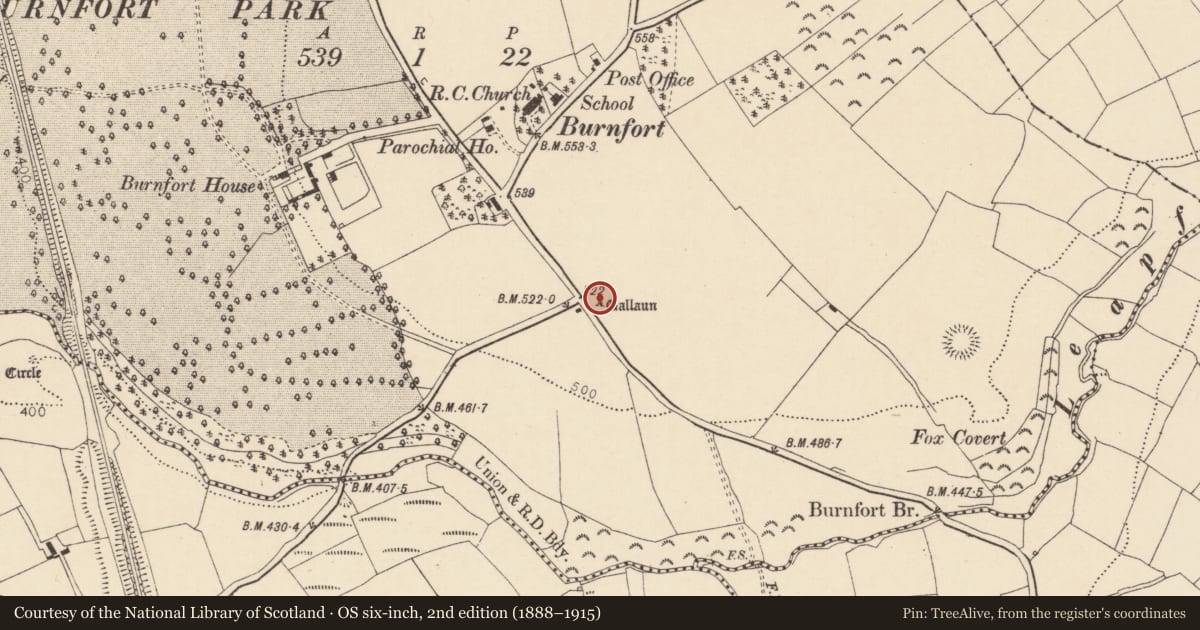 Ordnance Survey six-inch map, 2nd edition (1888–1915) covering the location of Standing stone, Burnfort, County Cork, with a pin at the register's coordinates
