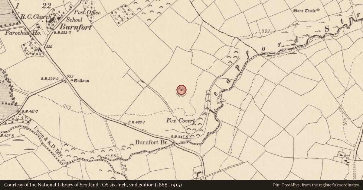 Ordnance Survey six-inch map, 2nd edition (1888–1915) covering the location of Ringfort - rath, Burnfort, County Cork, with a pin at the register's coordinates