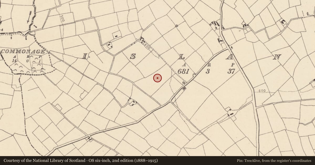 Ordnance Survey six-inch map, 2nd edition (1888–1915) covering the location of Standing stone, Island, County Cork, with a pin at the register's coordinates