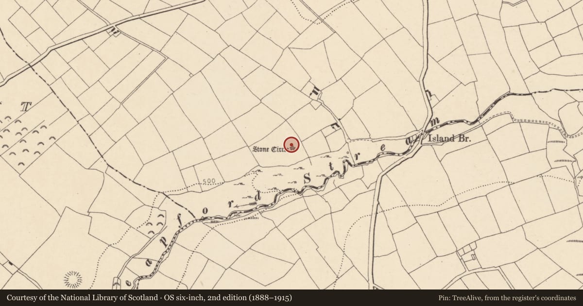 Ordnance Survey six-inch map, 2nd edition (1888–1915) covering the location of Megalithic tomb - wedge tomb, Island, County Cork, with a pin at the register's coordinates