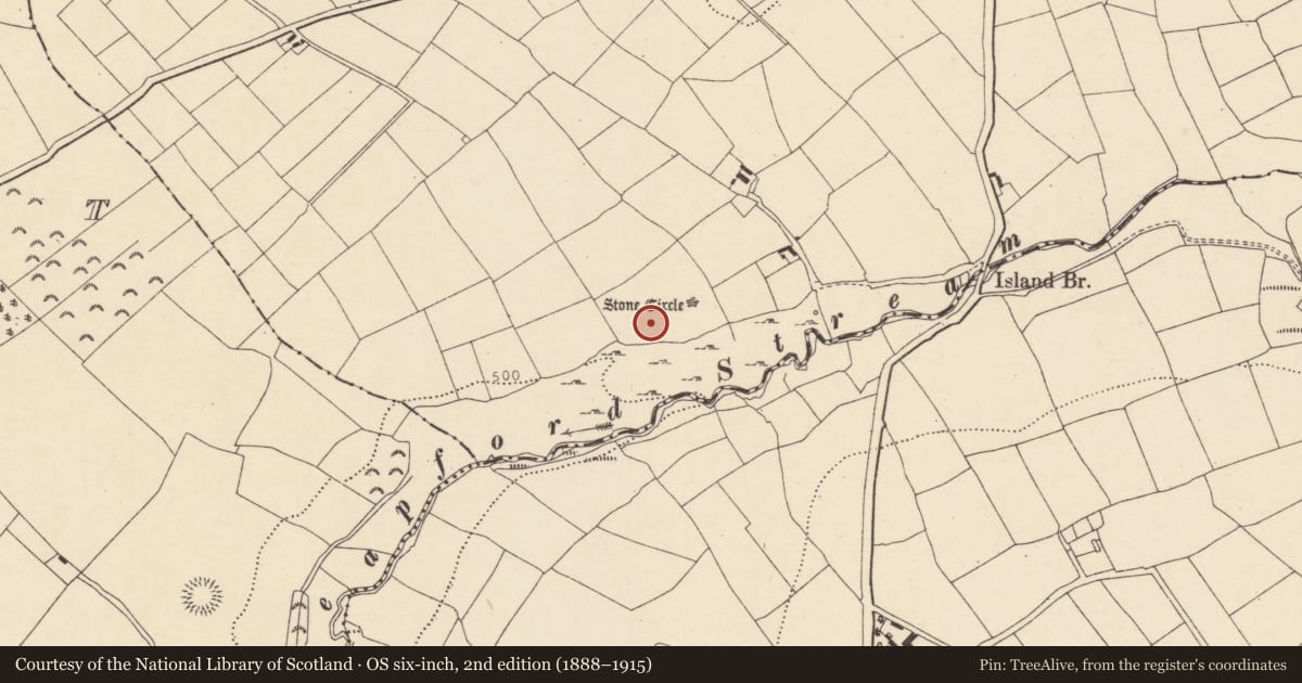 Ordnance Survey six-inch map, 2nd edition (1888–1915) covering the location of Megalithic tomb - wedge tomb, Island, County Cork, with a pin at the register's coordinates