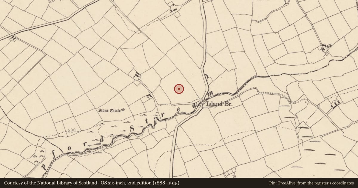 Ordnance Survey six-inch map, 2nd edition (1888–1915) covering the location of Standing stone - pair, Island, County Cork, with a pin at the register's coordinates