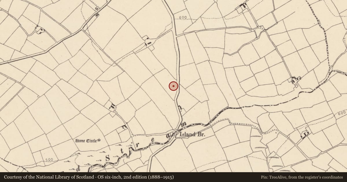 Ordnance Survey six-inch map, 2nd edition (1888–1915) covering the location of Enclosure, Island, County Cork, with a pin at the register's coordinates