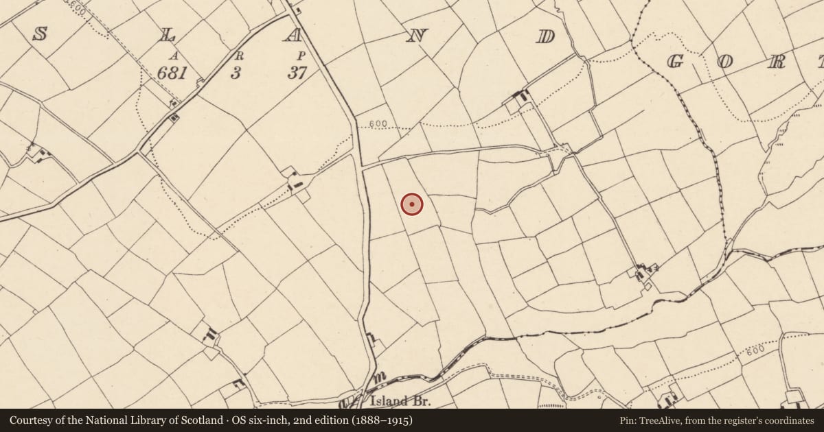 Ordnance Survey six-inch map, 2nd edition (1888–1915) covering the location of Standing stone, Island, County Cork, with a pin at the register's coordinates