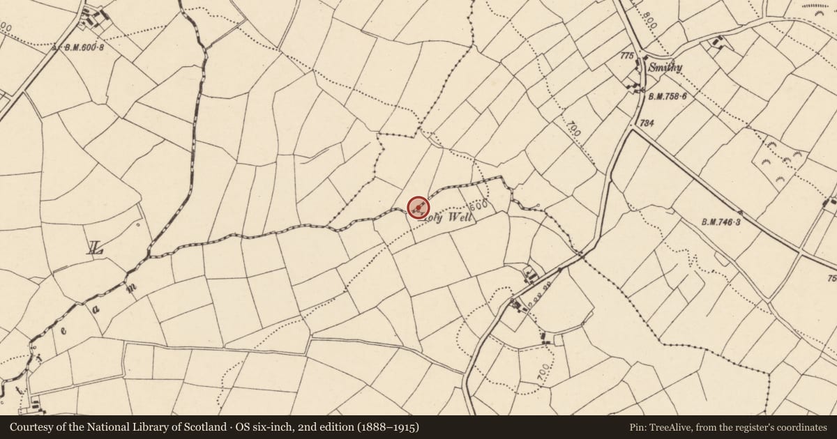 Ordnance Survey six-inch map, 2nd edition (1888–1915) covering the location of Ritual site - holy well, Island, County Cork, with a pin at the register's coordinates