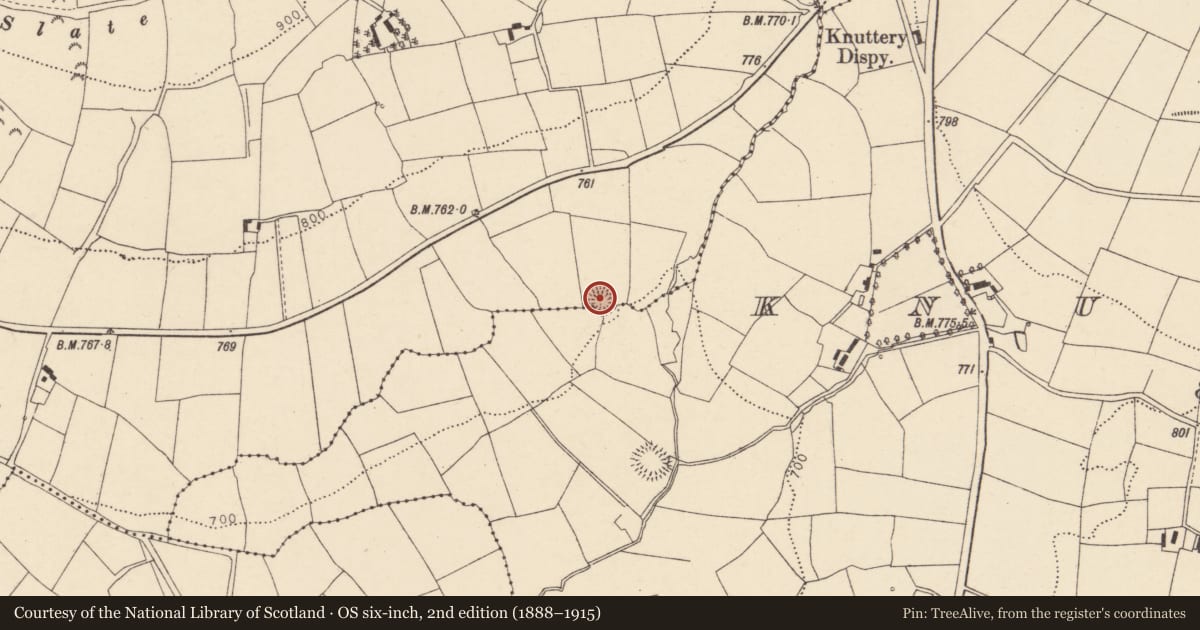 Ordnance Survey six-inch map, 2nd edition (1888–1915) covering the location of Ringfort - rath, Knockbrack (Fermoy By., Rahan Par.), County Cork, with a pin at the register's coordinates