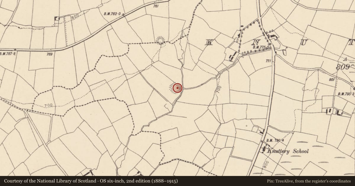 Ordnance Survey six-inch map, 2nd edition (1888–1915) covering the location of Souterrain, Knuttery, County Cork, with a pin at the register's coordinates