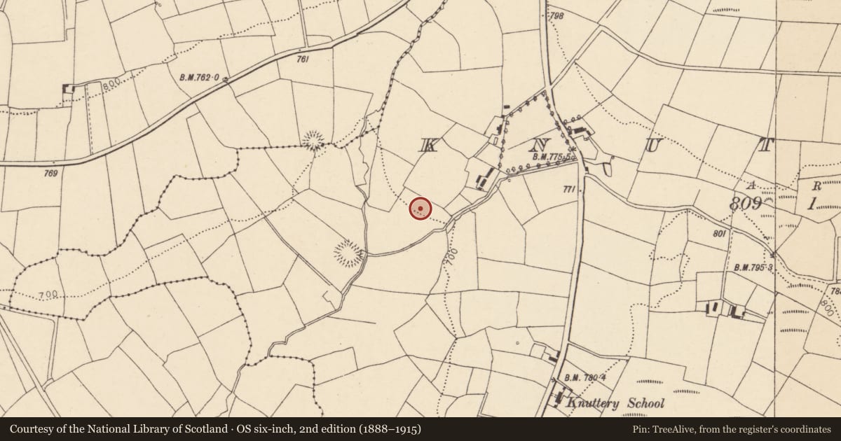 Ordnance Survey six-inch map, 2nd edition (1888–1915) covering the location of Standing stone, Knuttery, County Cork, with a pin at the register's coordinates