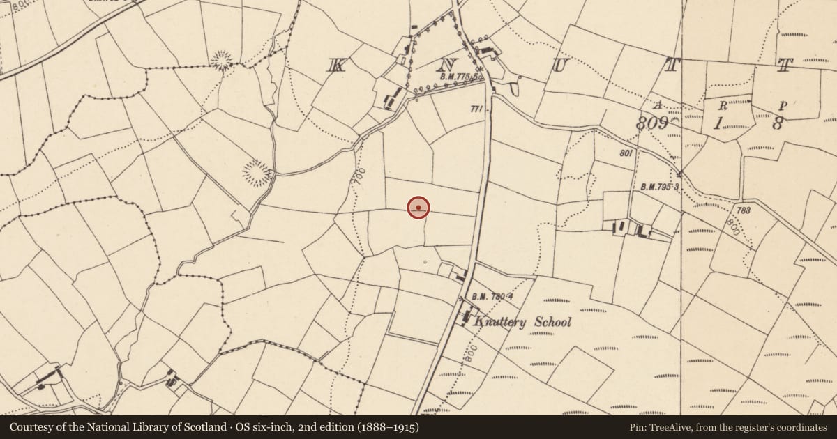 Ordnance Survey six-inch map, 2nd edition (1888–1915) covering the location of Enclosure, Knuttery, County Cork, with a pin at the register's coordinates