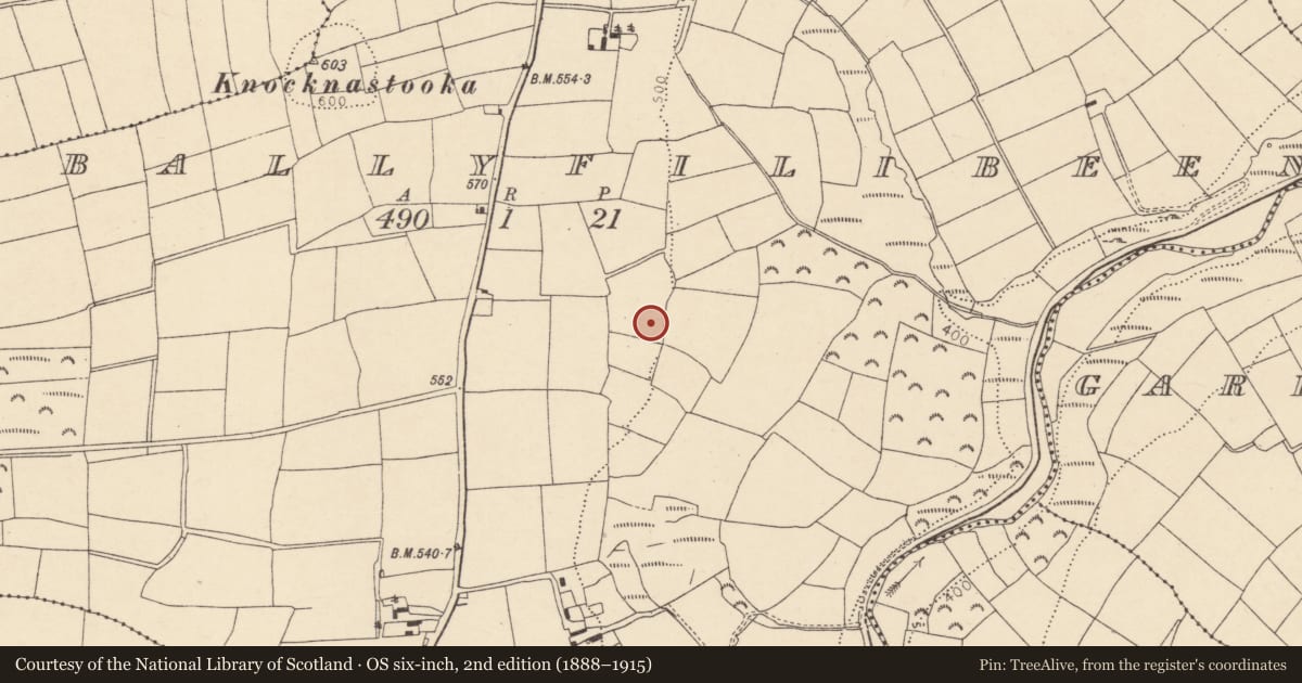 Ordnance Survey six-inch map, 2nd edition (1888–1915) covering the location of Souterrain, Ballyfilibeen, County Cork, with a pin at the register's coordinates