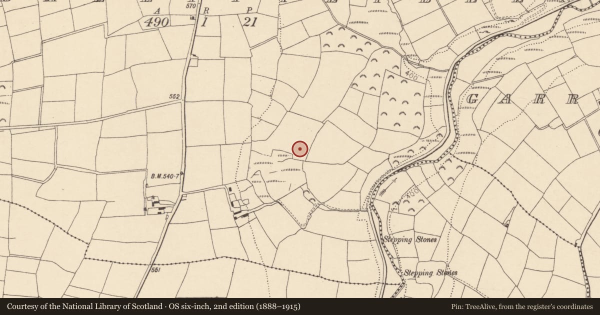 Ordnance Survey six-inch map, 2nd edition (1888–1915) covering the location of Moated site, Ballyfilibeen, County Cork, with a pin at the register's coordinates