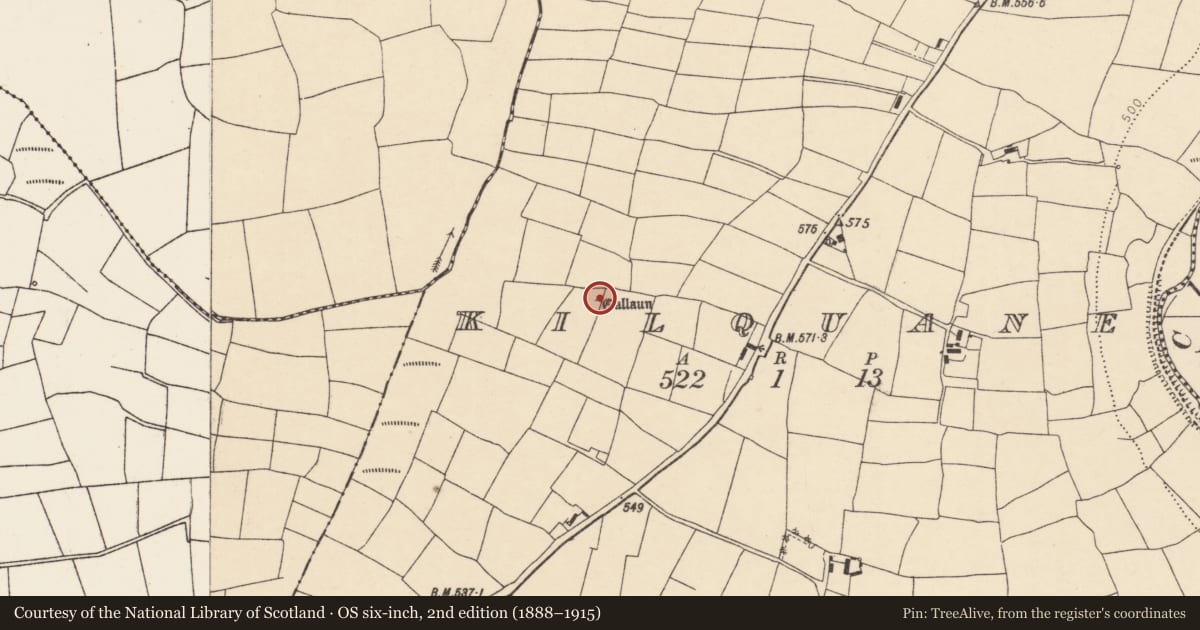 Ordnance Survey six-inch map, 2nd edition (1888–1915) covering the location of Standing stone, Kilquane, County Cork, with a pin at the register's coordinates