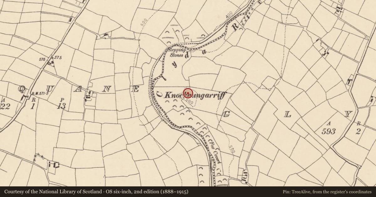 Ordnance Survey six-inch map, 2nd edition (1888–1915) covering the location of Ringfort - rath, Glynn, County Cork, with a pin at the register's coordinates