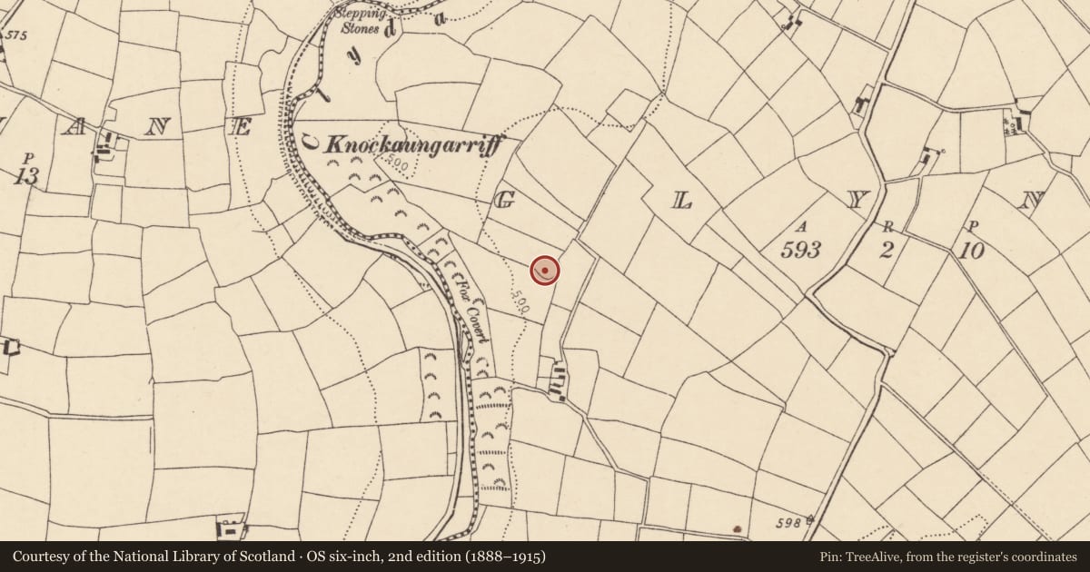 Ordnance Survey six-inch map, 2nd edition (1888–1915) covering the location of Ringfort - rath, Glynn, County Cork, with a pin at the register's coordinates