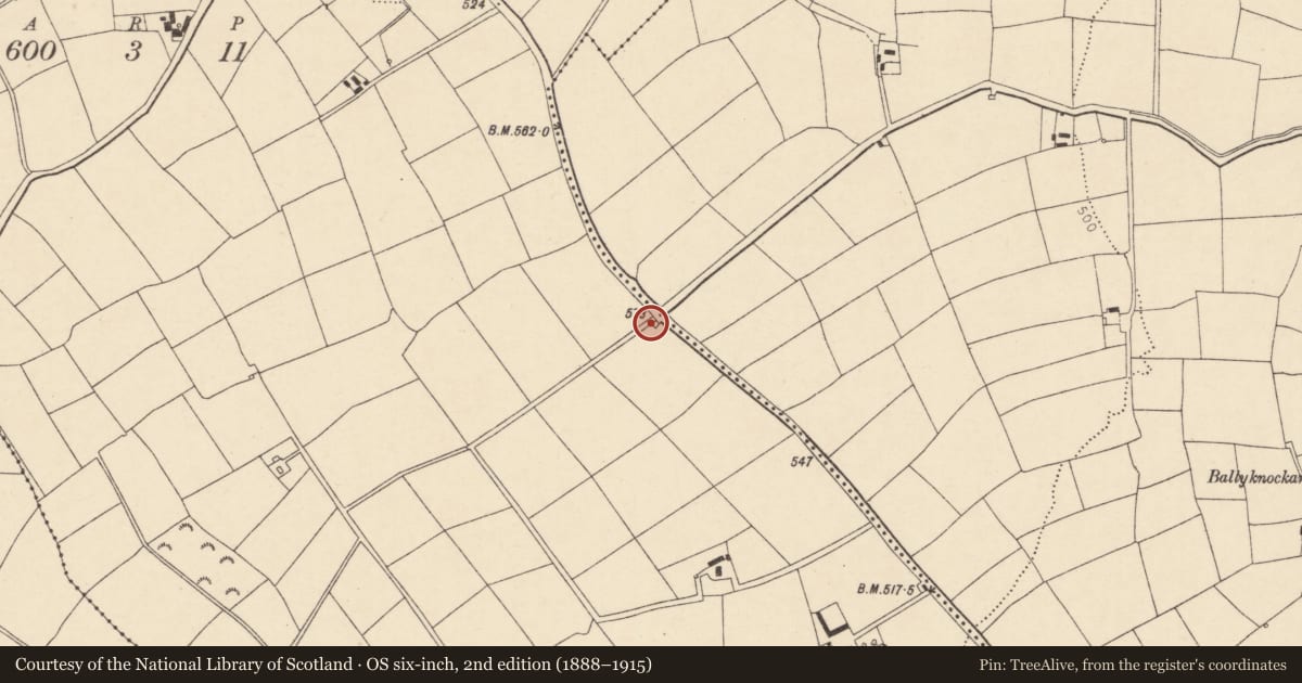 Ordnance Survey six-inch map, 2nd edition (1888–1915) covering the location of Kiln - lime, Garrynagearagh, County Cork, with a pin at the register's coordinates