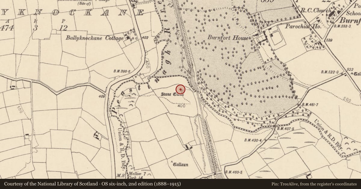 Ordnance Survey six-inch map, 2nd edition (1888–1915) covering the location of Standing stone, Lissard, County Cork, with a pin at the register's coordinates