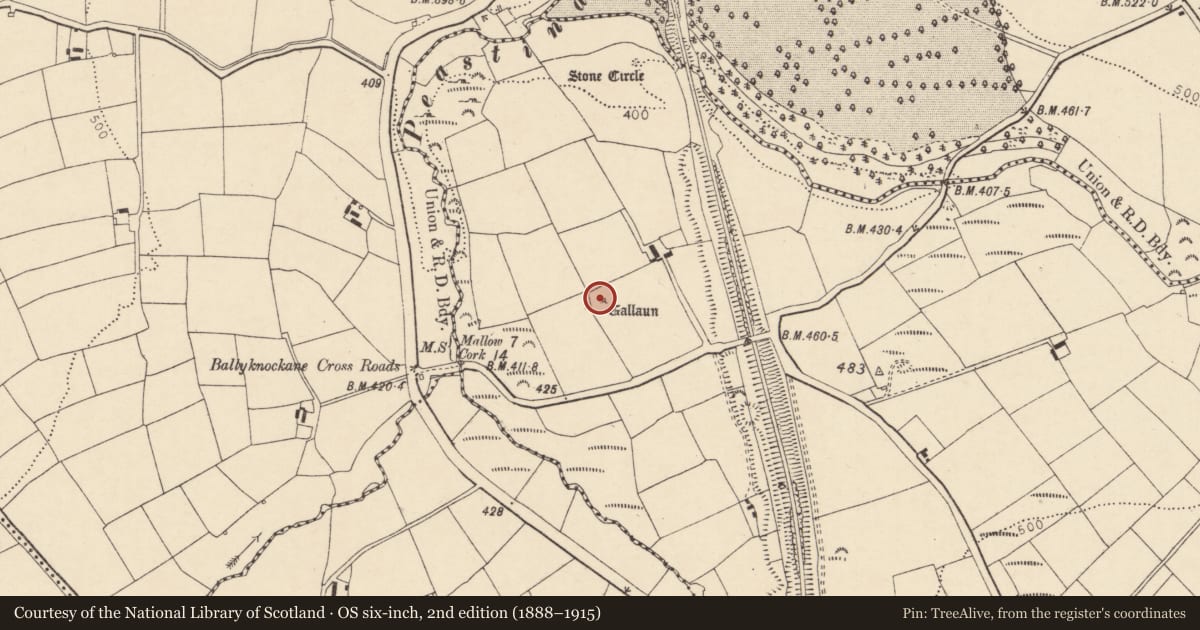 Ordnance Survey six-inch map, 2nd edition (1888–1915) covering the location of Standing stone - pair, Lissard, County Cork, with a pin at the register's coordinates