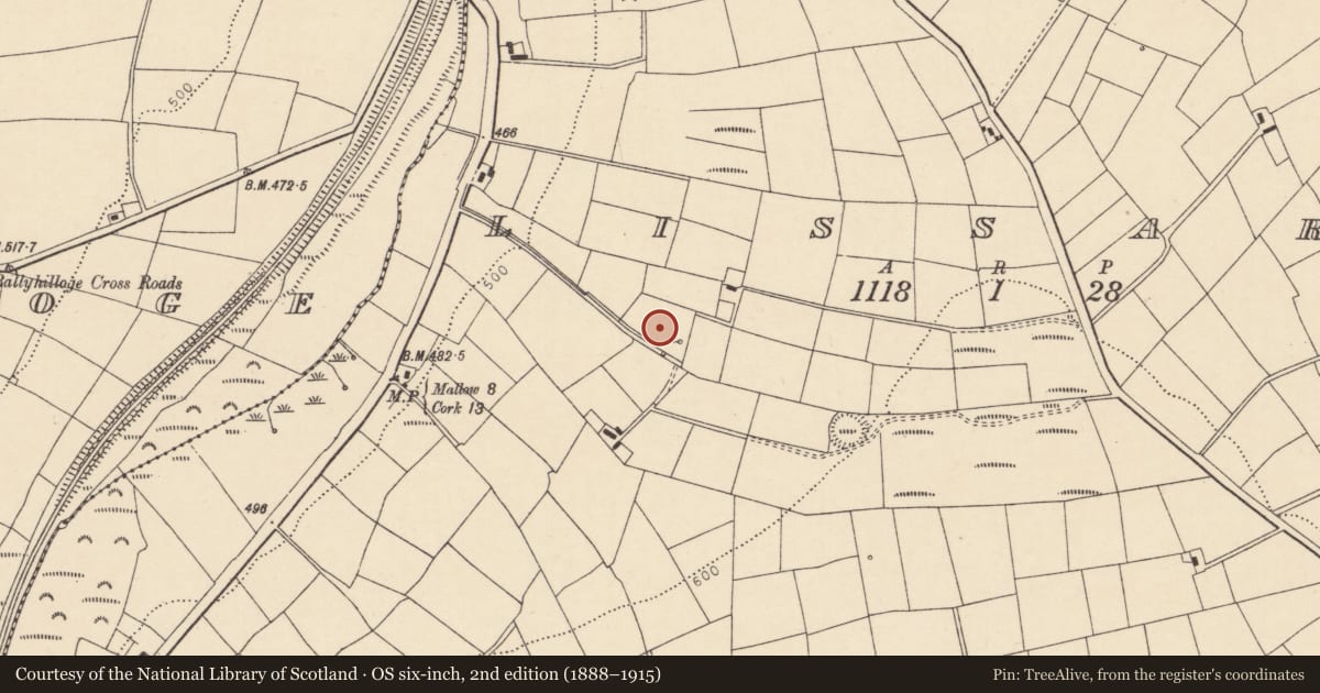Ordnance Survey six-inch map, 2nd edition (1888–1915) covering the location of Mound, Lissard, County Cork, with a pin at the register's coordinates