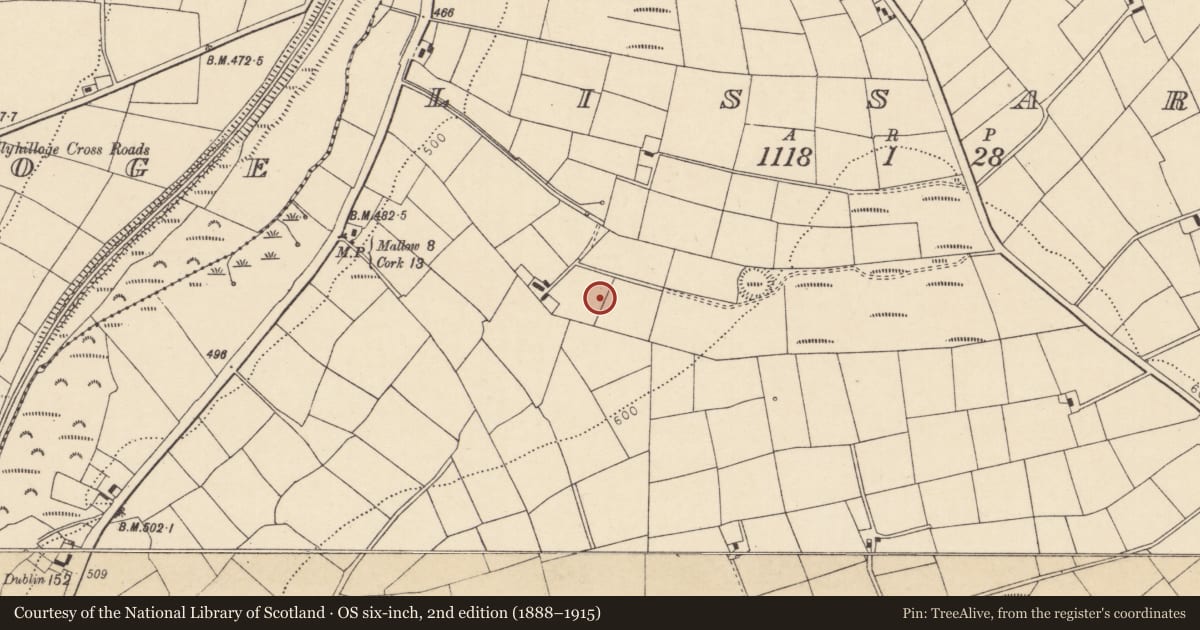 Ordnance Survey six-inch map, 2nd edition (1888–1915) covering the location of Mound, Lissard, County Cork, with a pin at the register's coordinates