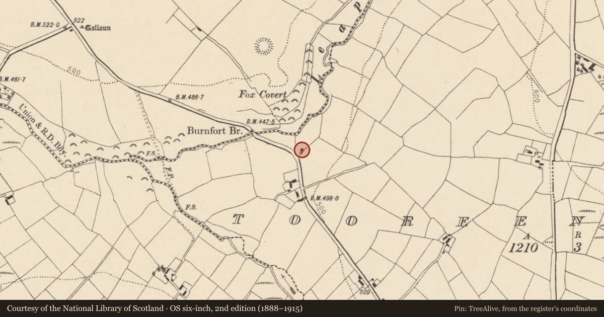 Ordnance Survey six-inch map, 2nd edition (1888–1915) covering the location of Kiln - lime, Tooreen North, County Cork, with a pin at the register's coordinates
