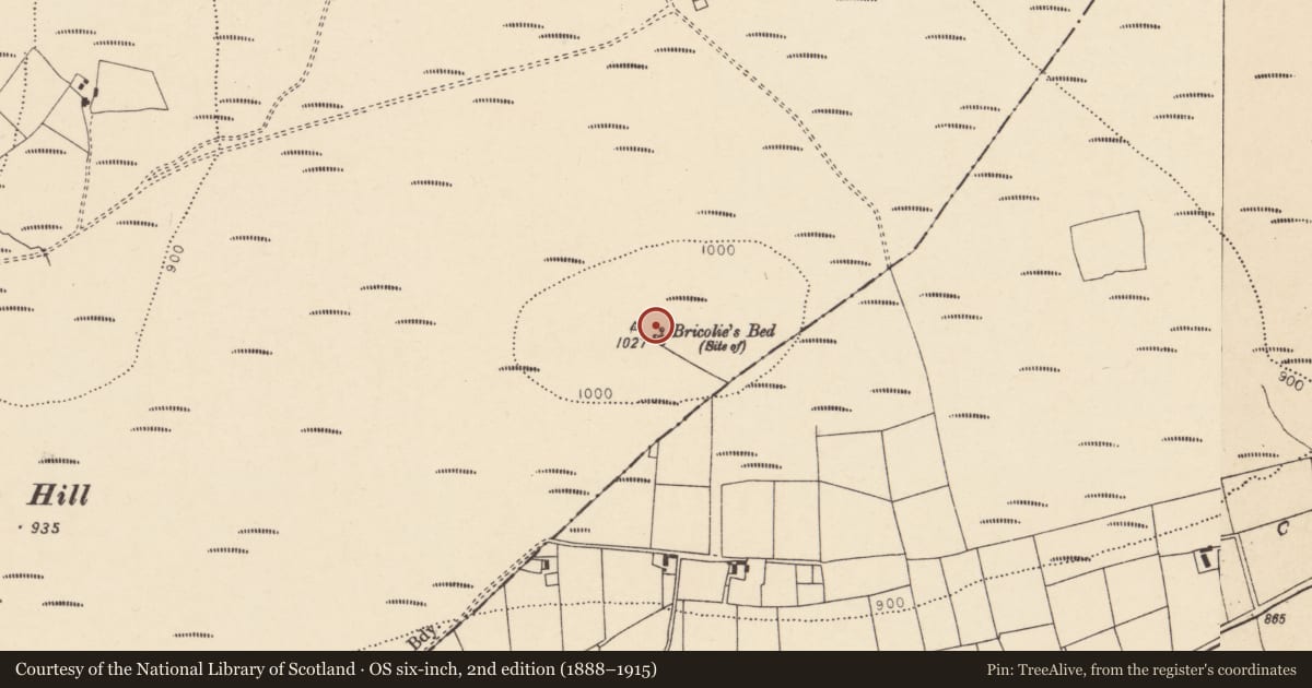 Ordnance Survey six-inch map, 2nd edition (1888–1915) covering the location of Burial, Tooreen South, County Cork, with a pin at the register's coordinates
