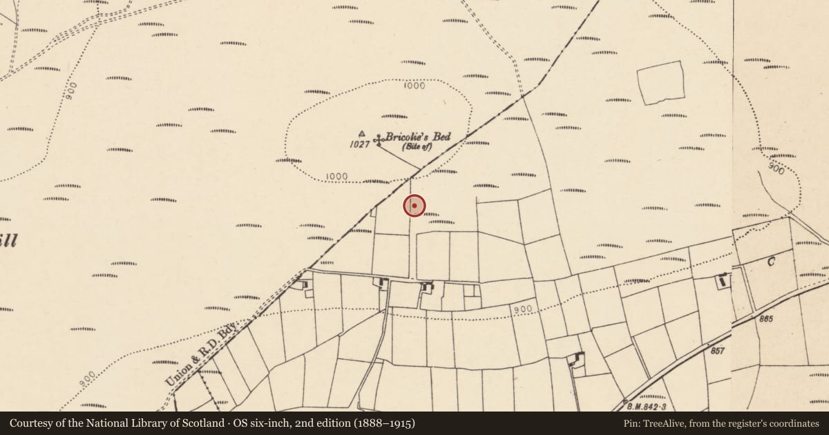 Ordnance Survey six-inch map, 2nd edition (1888–1915) covering the location of Fulacht fia, Glashaboy North, County Cork, with a pin at the register's coordinates