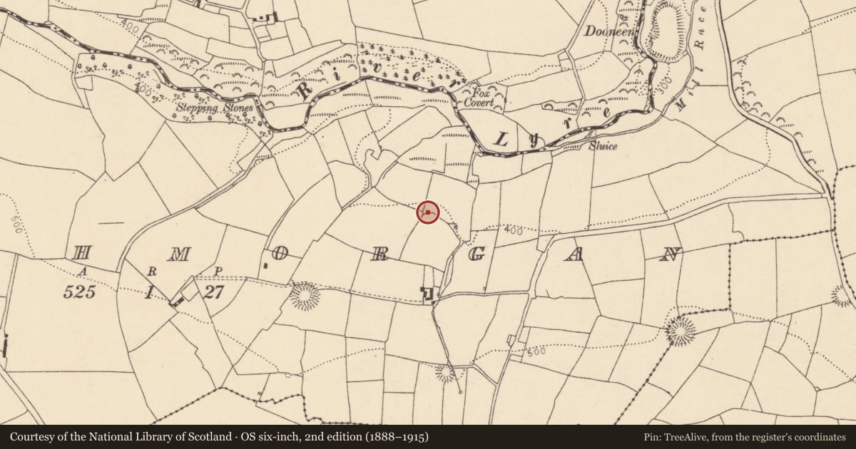 Ordnance Survey six-inch map, 2nd edition (1888–1915) covering the location of Souterrain, Clashmorgan, County Cork, with a pin at the register's coordinates