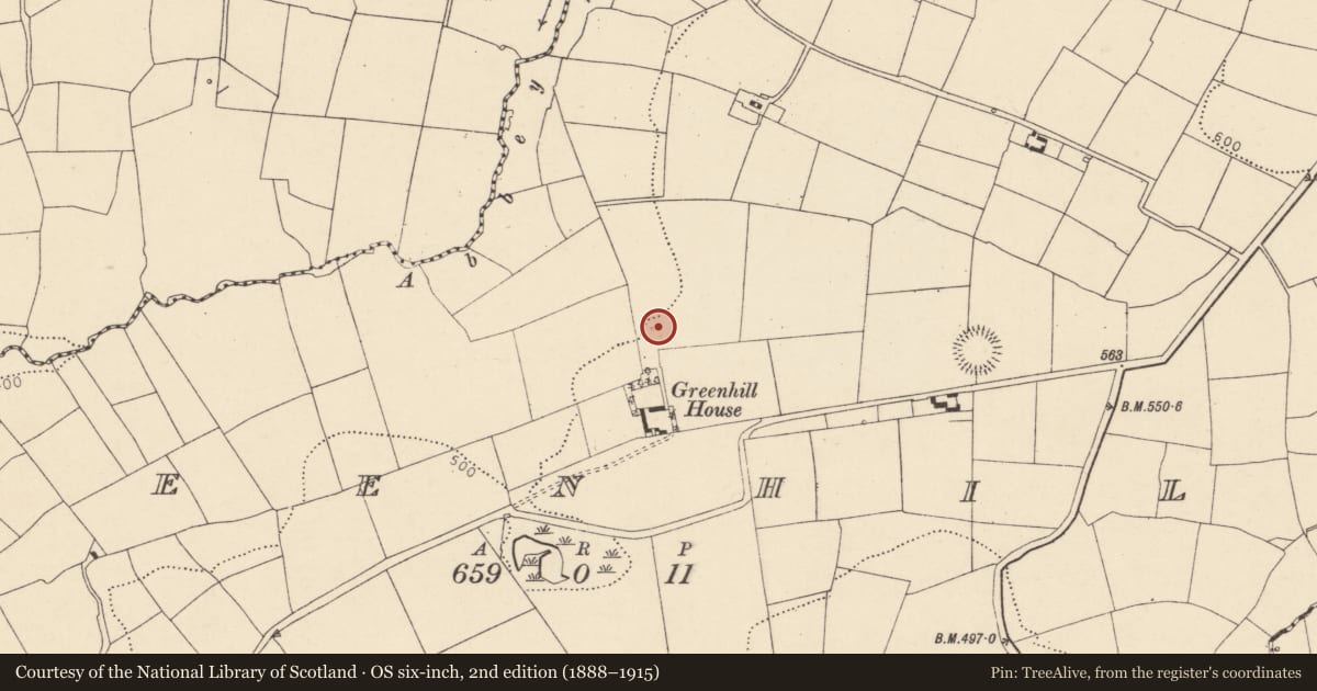 Ordnance Survey six-inch map, 2nd edition (1888–1915) covering the location of Fulacht fia, Greenhill, County Cork, with a pin at the register's coordinates