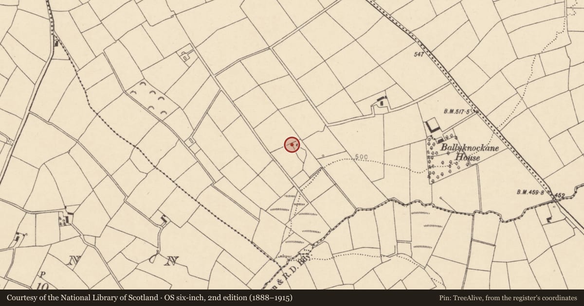 Ordnance Survey six-inch map, 2nd edition (1888–1915) covering the location of Fulacht fia, Garrynagearagh, County Cork, with a pin at the register's coordinates