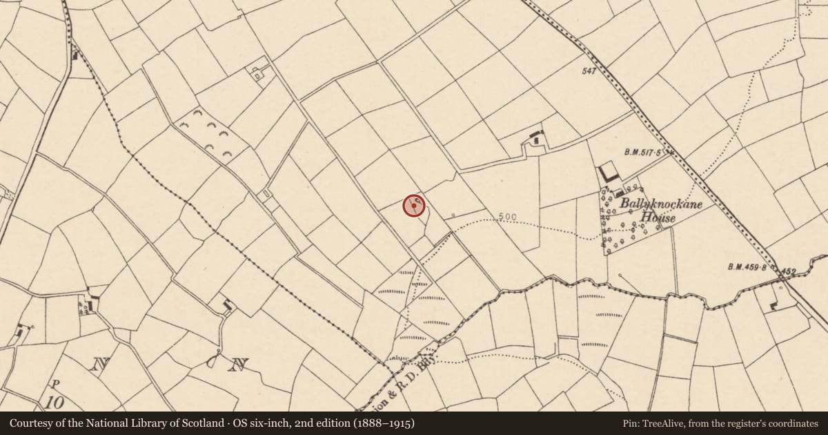 Ordnance Survey six-inch map, 2nd edition (1888–1915) covering the location of Fulacht fia, Garrynagearagh, County Cork, with a pin at the register's coordinates