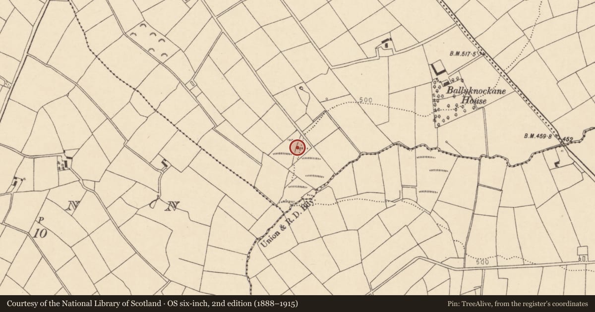 Ordnance Survey six-inch map, 2nd edition (1888–1915) covering the location of Fulacht fia, Garrynagearagh, County Cork, with a pin at the register's coordinates