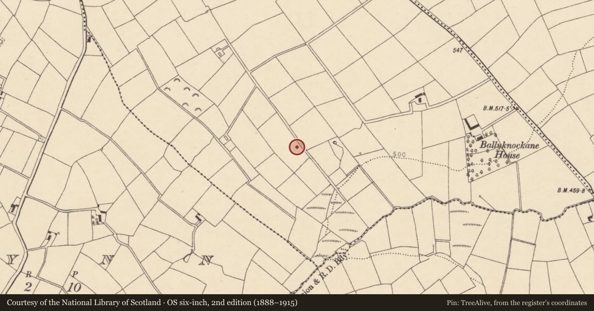 Ordnance Survey six-inch map, 2nd edition (1888–1915) covering the location of Fulacht fia, Garrynagearagh, County Cork, with a pin at the register's coordinates