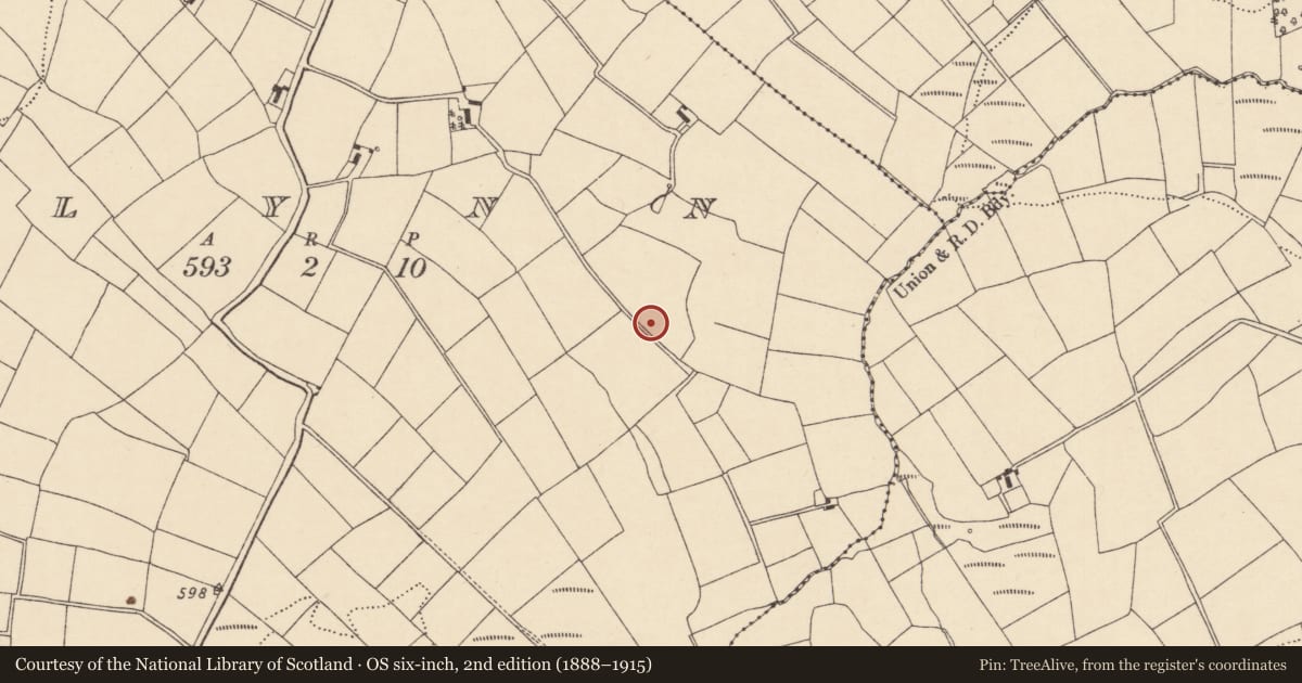 Ordnance Survey six-inch map, 2nd edition (1888–1915) covering the location of Fulacht fia, Glynn, County Cork, with a pin at the register's coordinates