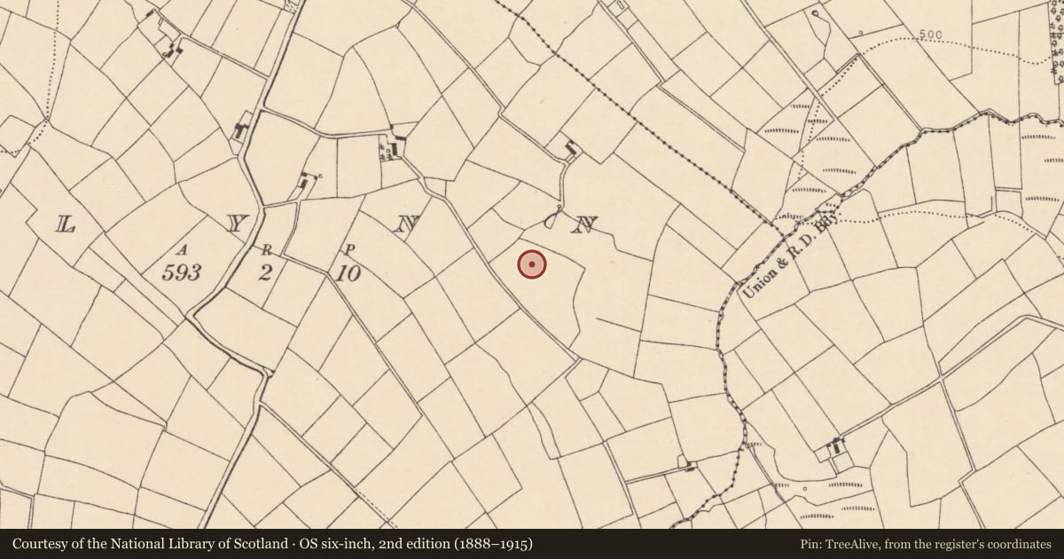 Ordnance Survey six-inch map, 2nd edition (1888–1915) covering the location of Fulacht fia, Glynn, County Cork, with a pin at the register's coordinates