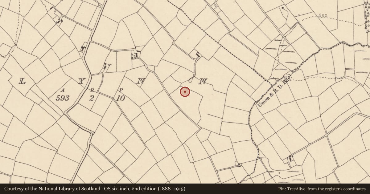 Ordnance Survey six-inch map, 2nd edition (1888–1915) covering the location of Fulacht fia, Glynn, County Cork, with a pin at the register's coordinates