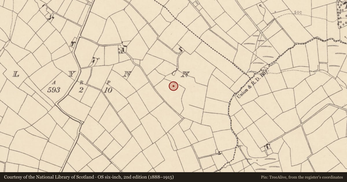 Ordnance Survey six-inch map, 2nd edition (1888–1915) covering the location of Fulacht fia, Glynn, County Cork, with a pin at the register's coordinates