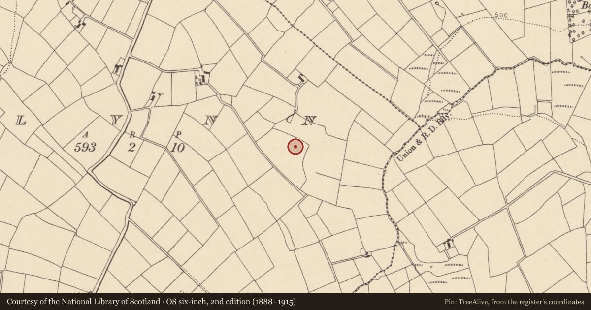Ordnance Survey six-inch map, 2nd edition (1888–1915) covering the location of Fulacht fia, Glynn, County Cork, with a pin at the register's coordinates