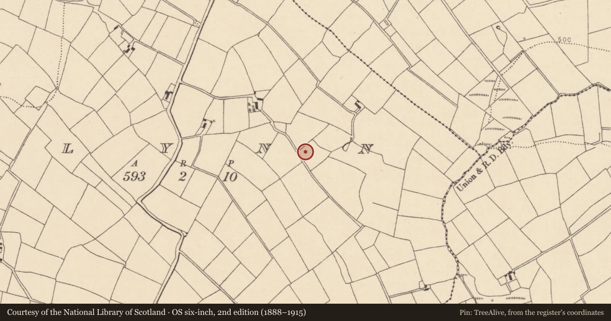 Ordnance Survey six-inch map, 2nd edition (1888–1915) covering the location of Fulacht fia, Glynn, County Cork, with a pin at the register's coordinates