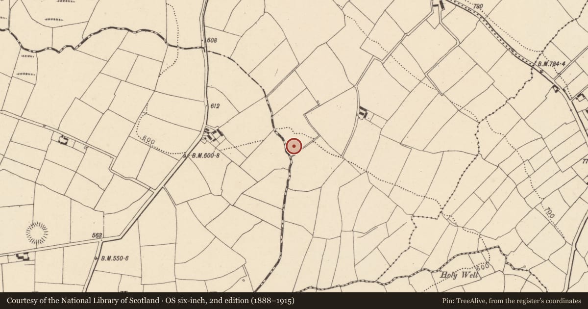 Ordnance Survey six-inch map, 2nd edition (1888–1915) covering the location of Ringfort - rath, Monee West, County Cork, with a pin at the register's coordinates