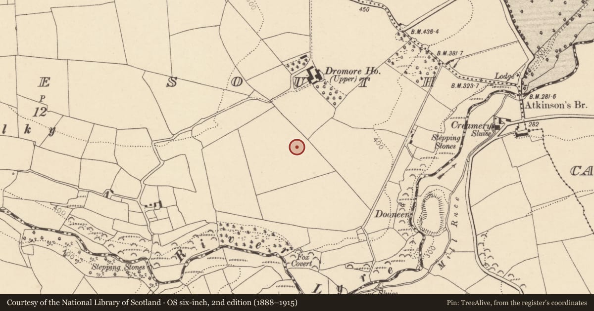 Ordnance Survey six-inch map, 2nd edition (1888–1915) covering the location of Enclosure, Dromore South, County Cork, with a pin at the register's coordinates