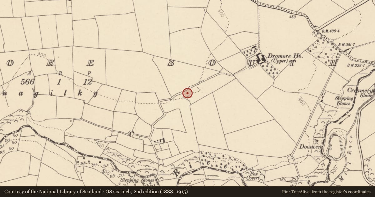 Ordnance Survey six-inch map, 2nd edition (1888–1915) covering the location of Enclosure, Dromore South, County Cork, with a pin at the register's coordinates