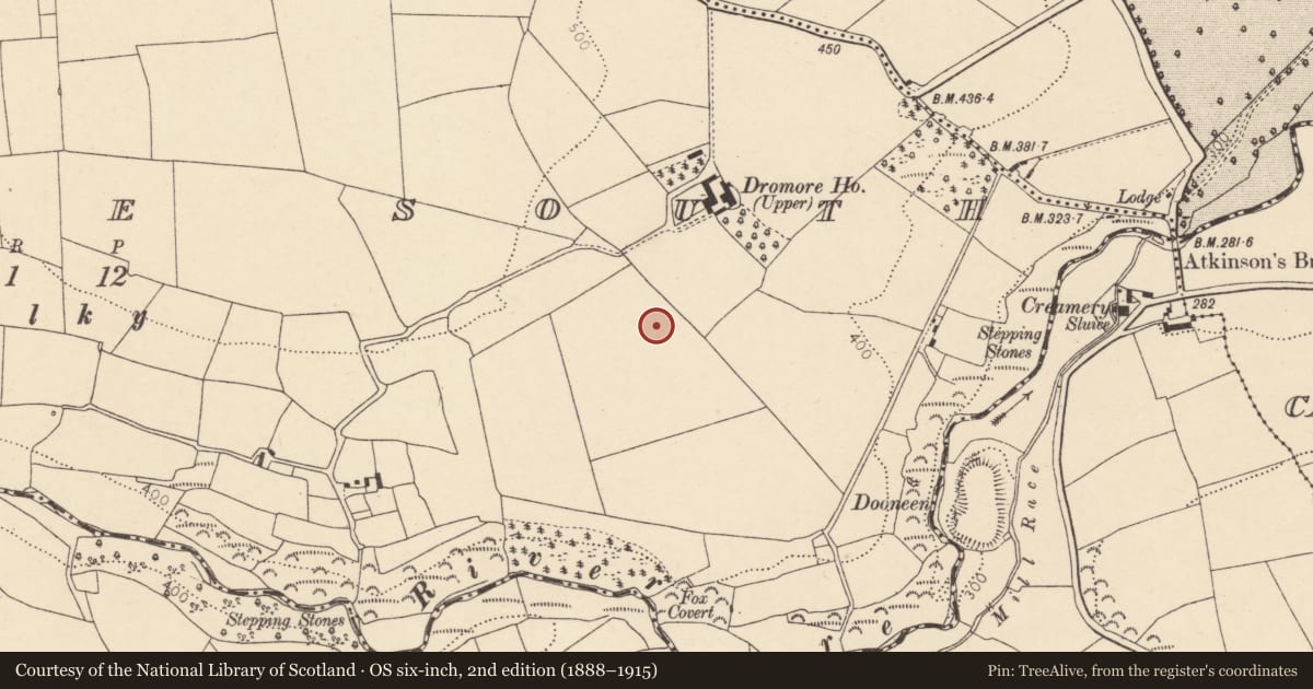 Ordnance Survey six-inch map, 2nd edition (1888–1915) covering the location of Ring-ditch, Dromore South, County Cork, with a pin at the register's coordinates