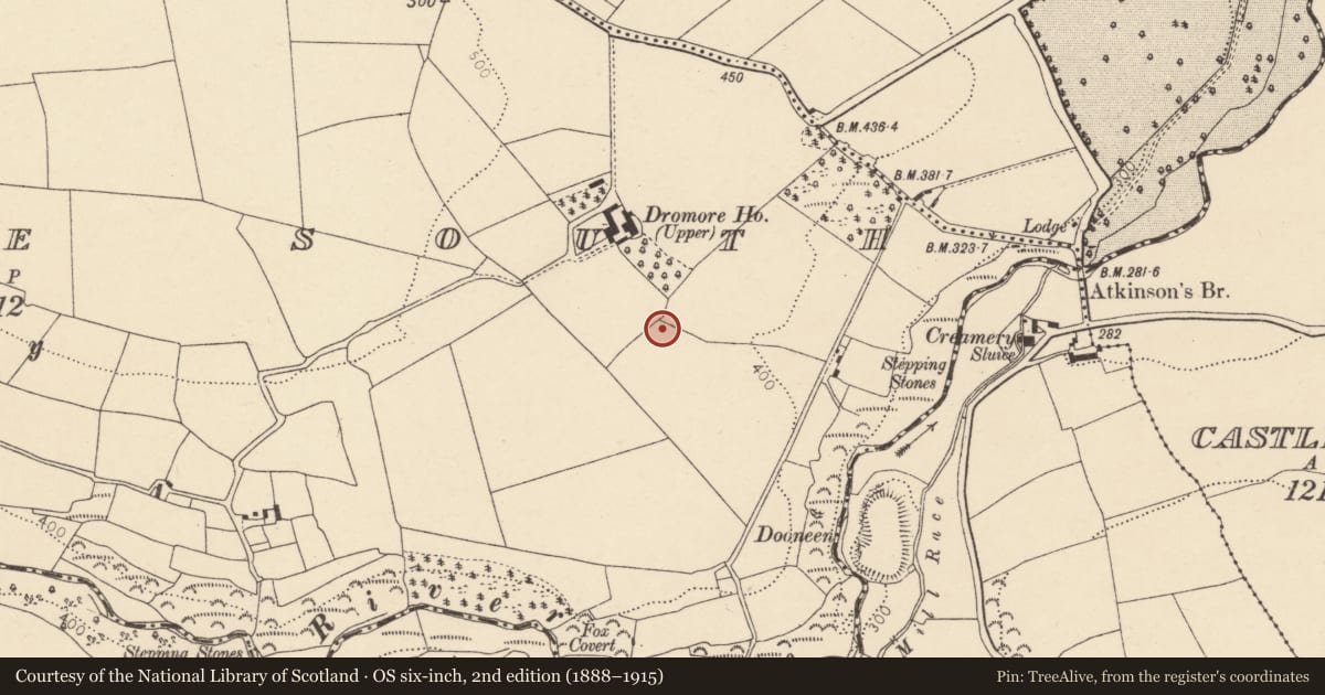 Ordnance Survey six-inch map, 2nd edition (1888–1915) covering the location of Enclosure, Dromore South, County Cork, with a pin at the register's coordinates