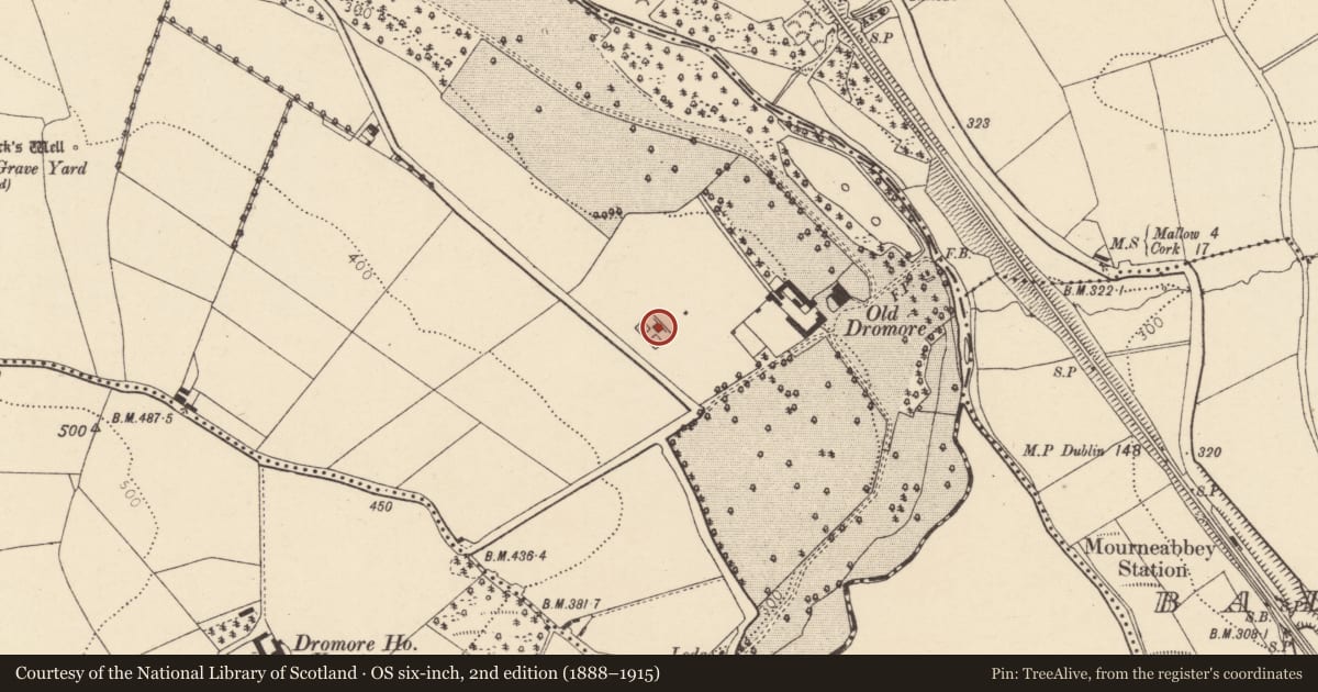 Ordnance Survey six-inch map, 2nd edition (1888–1915) covering the location of Designed landscape - belvedere, Dromore North, County Cork, with a pin at the register's coordinates