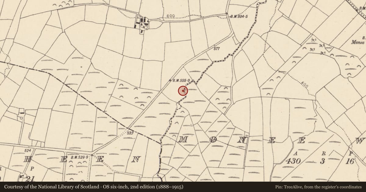 Ordnance Survey six-inch map, 2nd edition (1888–1915) covering the location of Fulacht fia, Ballinvuskig West, County Cork, with a pin at the register's coordinates