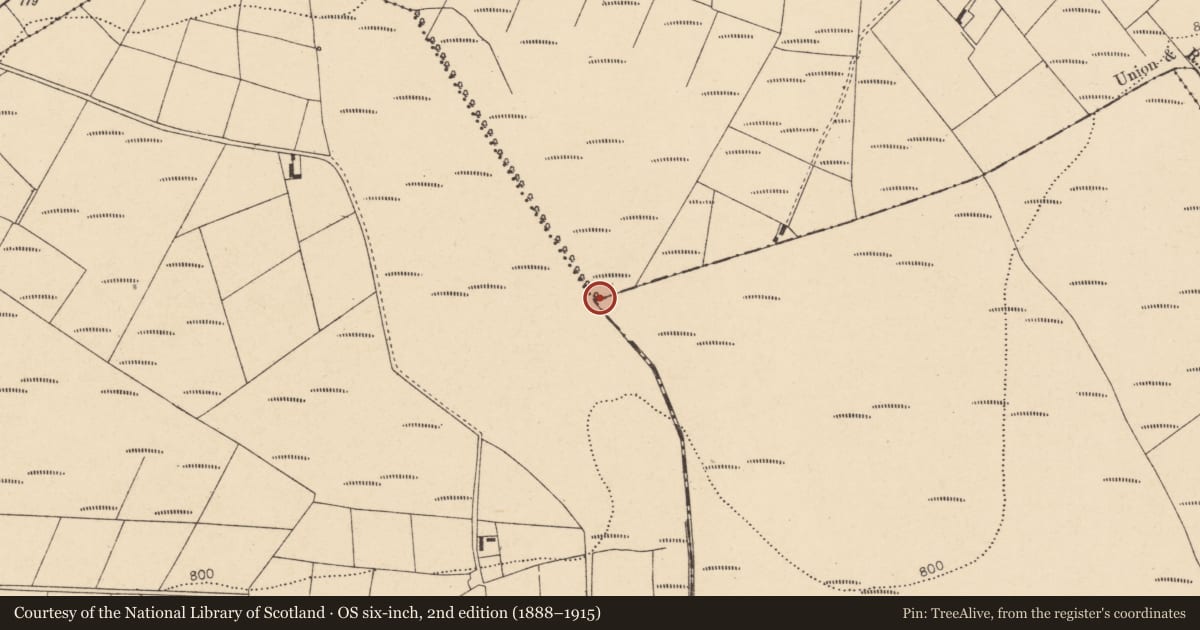 Ordnance Survey six-inch map, 2nd edition (1888–1915) covering the location of Barrow - ring-barrow, County Cork, with a pin at the register's coordinates