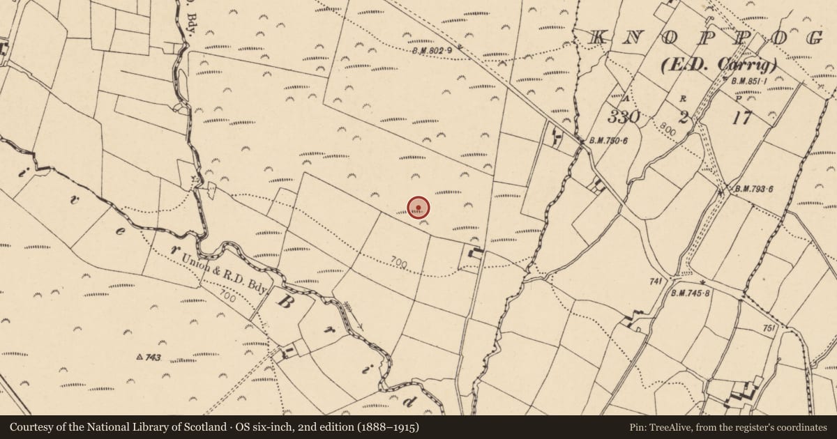 Ordnance Survey six-inch map, 2nd edition (1888–1915) covering the location of Cairn - unclassified, Commons (Barrymore By., Ardnageehy Par.), County Cork, with a pin at the register's coordinates