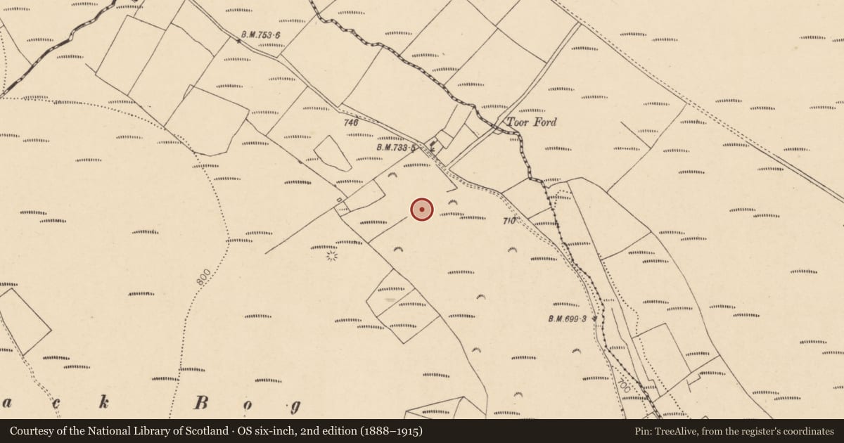 Ordnance Survey six-inch map, 2nd edition (1888–1915) covering the location of Fulacht fia, Coom (Hudson), County Cork, with a pin at the register's coordinates