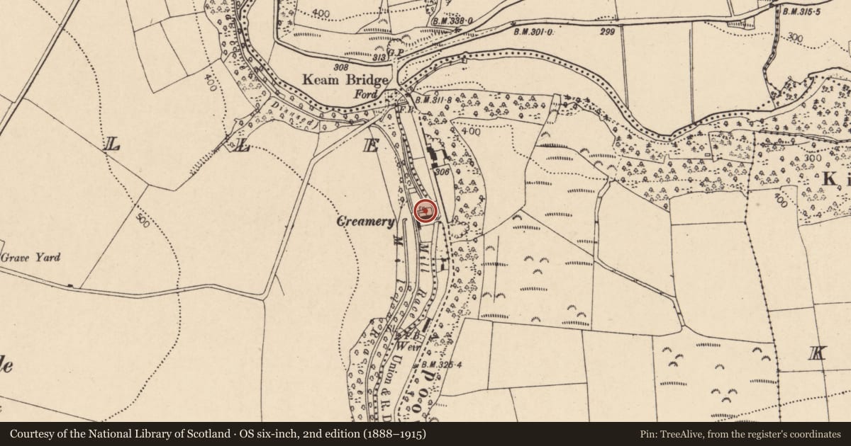 Ordnance Survey six-inch map, 2nd edition (1888–1915) covering the location of Mill - paper, Glenville, County Cork, with a pin at the register's coordinates